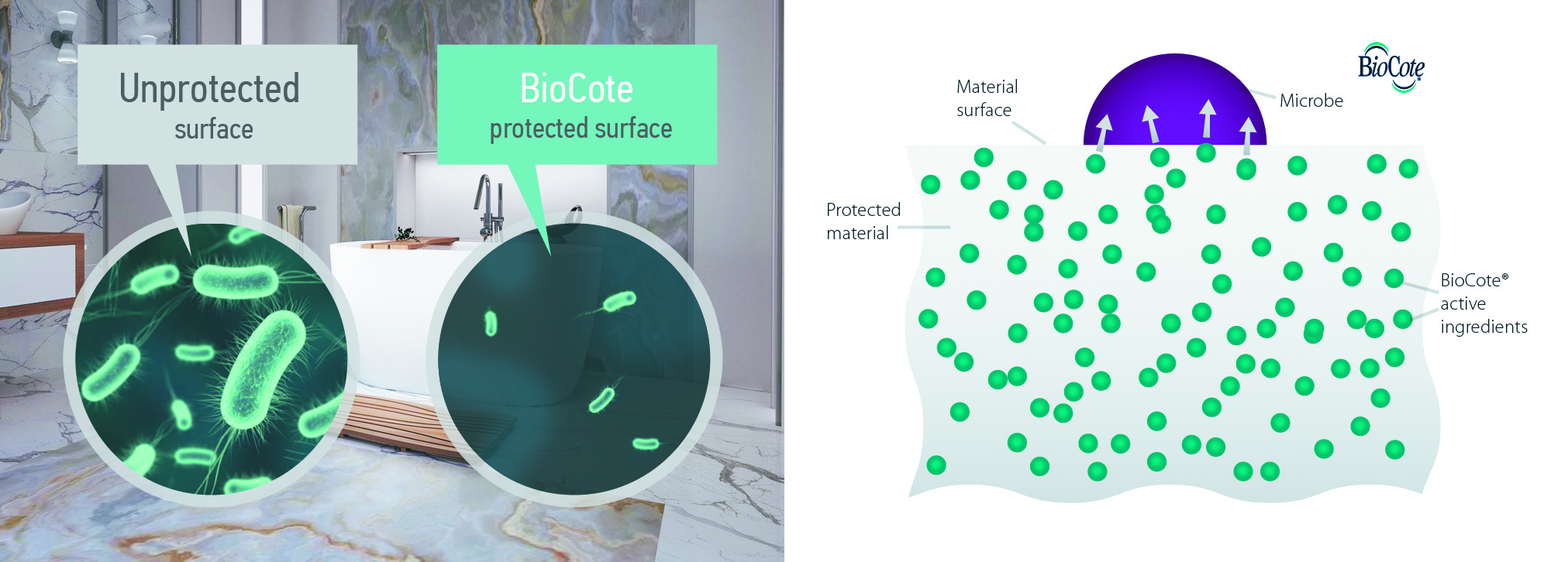 BioCote Cross Section Diagram